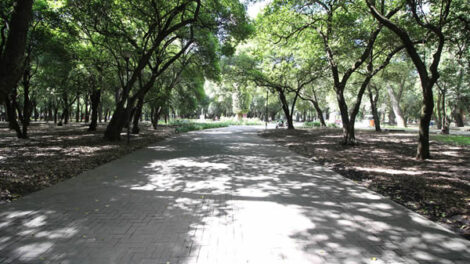 Se dará nueva vida a la primera sección, la más conocida y visitada
