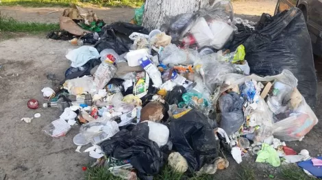 Problematica de la basura