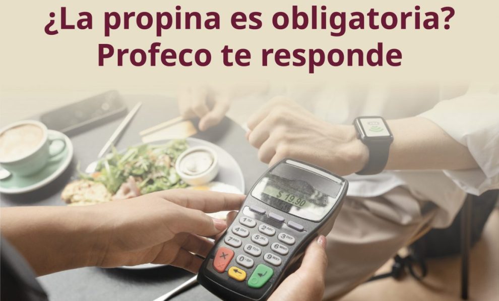 ¿No te respetaron el precio? ¿Te obligaron a pagar propina? Denúncialo, la Profeco te protege 1 ¿No te respetaron el precio? ¿Te obligaron a pagar propina? Denúncialo, la Profeco te protege