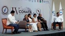 SECOES programas1 1