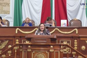 Congreso CDMX exige sanciones para combatir el abandono animal durante las peregrinaciones