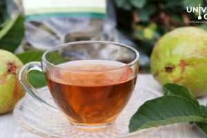 SW El secreto que se encuentra en las hojas de guayaba La magia del te