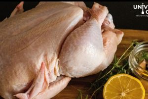 Riesgos de consumir pollo todos los días: lo que debes saber para cuidar tu salud