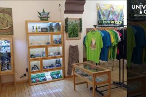 Una experiencia recreativa en el “Museo del Cáñamo y la Marihuana” te espera en la Ciudad de México