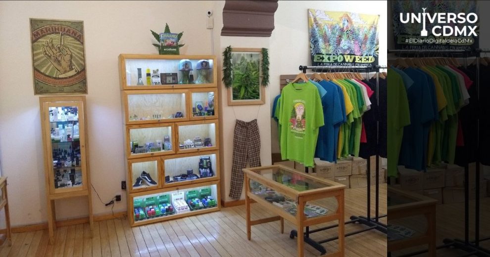 Una experiencia recreativa en el “Museo del Cáñamo y la Marihuana” te espera en la Ciudad de México