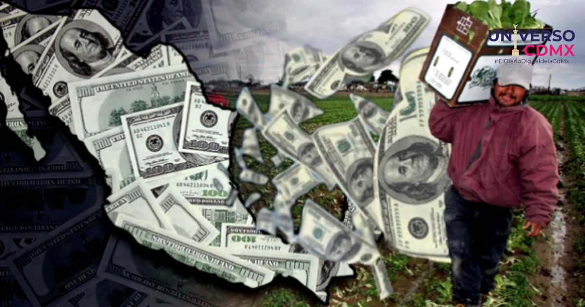 Nos vigilan cuando amamos, el rostro inhumano del acoso migratorio 1 UCDMX WEB CDMX GUARDIA27042025 2