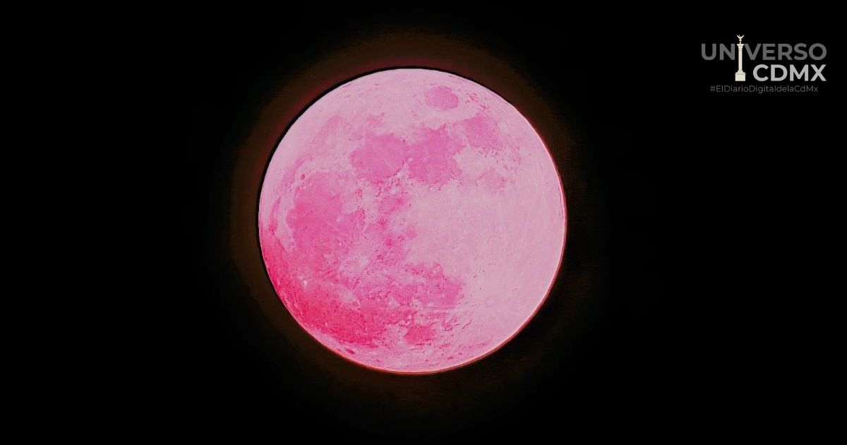 UCDMX WEB Carlos Torres Barrera advierte sobre crisis en el campo durante el Foro ABC para un Mexico Sustentable 1