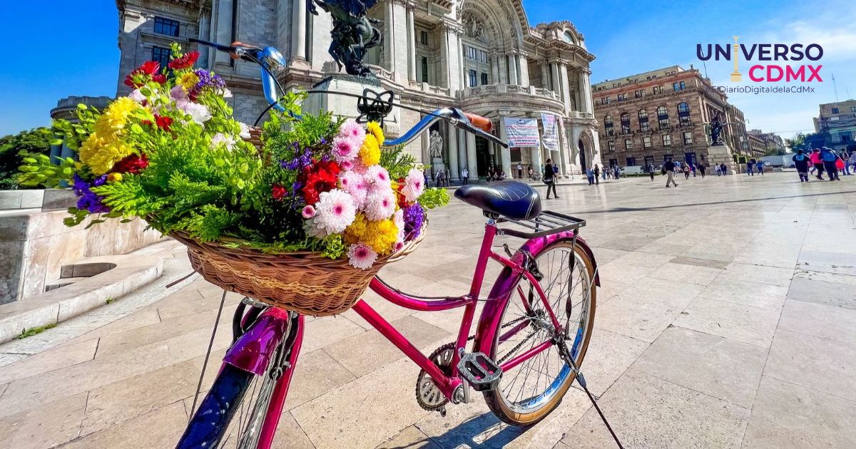 Qué hacer en CDMX del 8 al 14 de Agosto 2025: Danza, autos, cine, cultura indígena y más