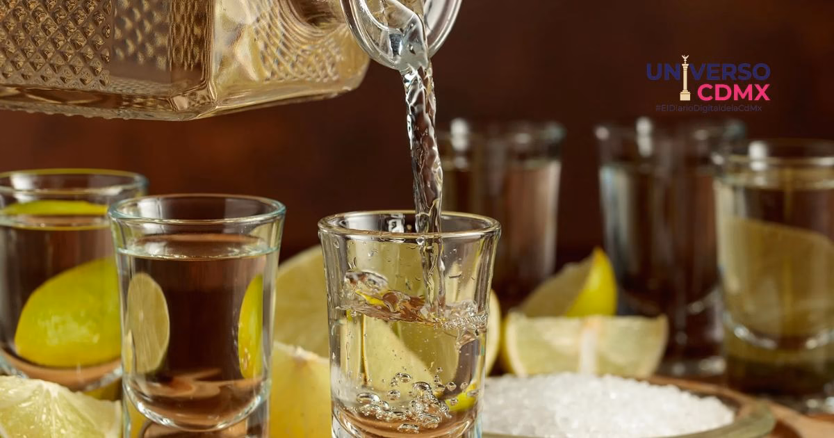 Día Nacional del Tequila: la bebida que conquistó al mundo desde México 7 UCDMX WEsB 1 64