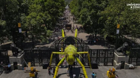 Festival del Bosque de Chapultepec 2024: Un vuelo nocturno hacia la magia de los murciélagos