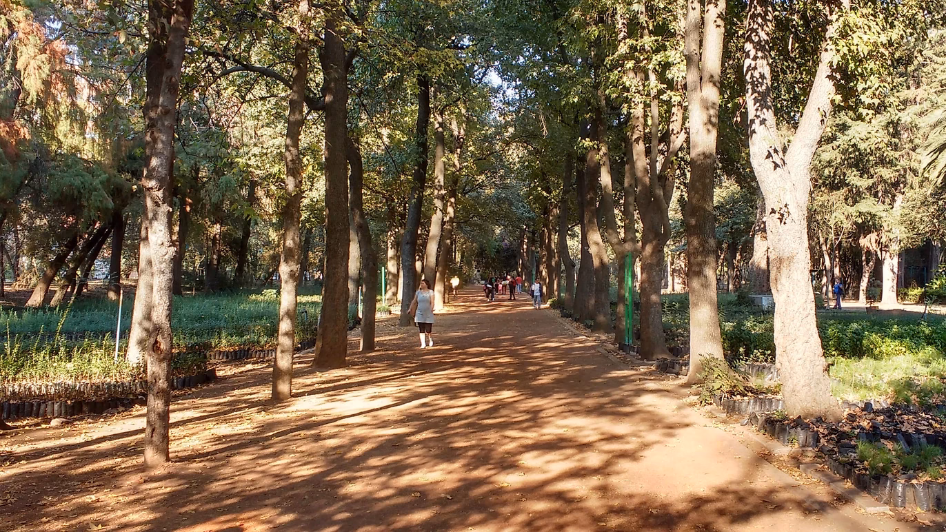 Viveros de Coyoacá