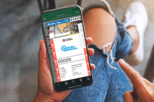 WEB Cabecera Cachito electronico