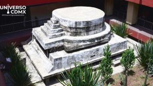 Web UCDMX Influenza aviar Mexico mantiene bajo el riesgo pero refuerza la vigilancia 1