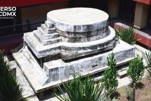 Web UCDMX Influenza aviar Mexico mantiene bajo el riesgo pero refuerza la vigilancia 1