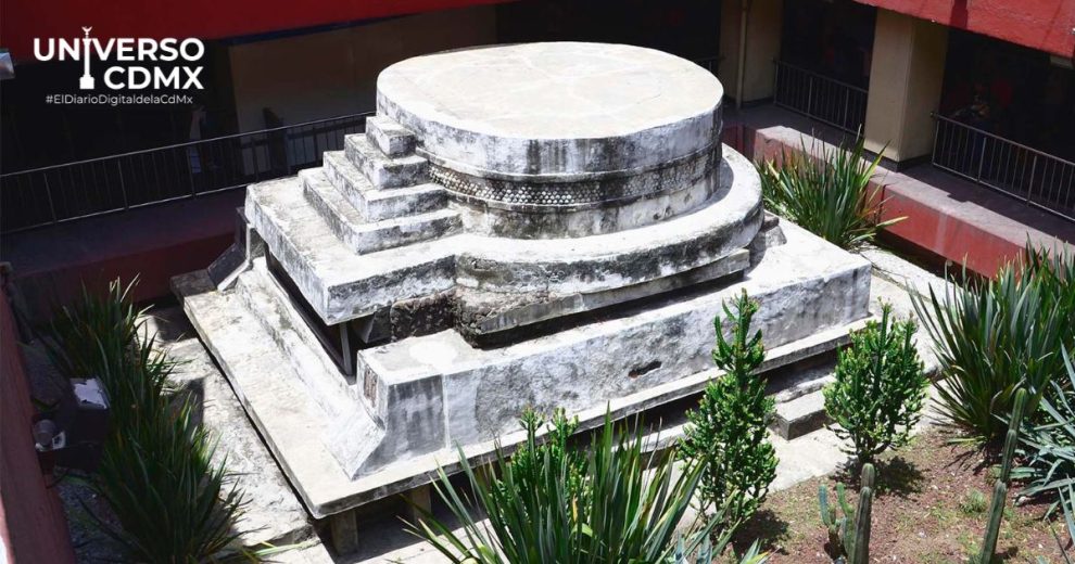 Un encuentro inesperado con la historia en el corazón de la ciudad 1 Web UCDMX Influenza aviar Mexico mantiene bajo el riesgo pero refuerza la vigilancia 1