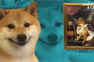 Museo de Cheems en CDMX: El homenaje al perrito más viral de internet