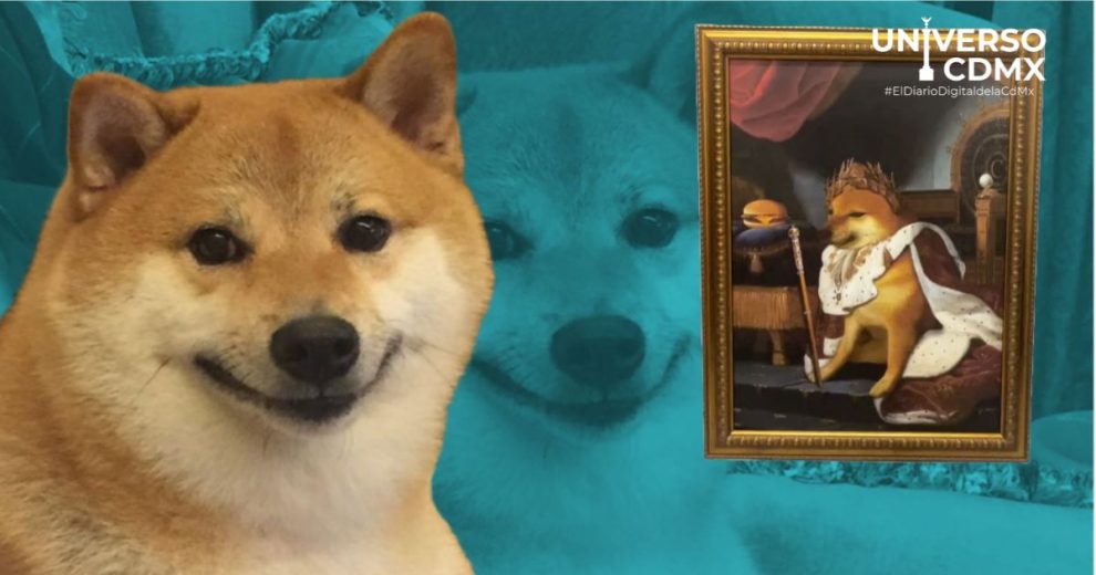 Museo de Cheems en CDMX: El homenaje al perrito más viral de internet 1 Museo de Cheems en CDMX: El homenaje al perrito más viral de internet