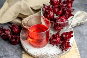 WebCDM Beneficios de la flor de Jamaica