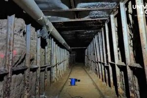 Descubren narcotúnel en Xochimilco y detienen a 27 personas en operativo de la SSC