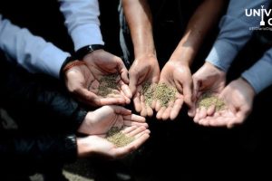 El gobierno de la ciudad de México apoya a productores de romeritos tras inundaciones