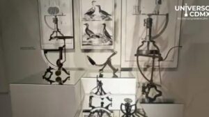 WebCDM Explora el mundo del absurdo en la Exposicion Sinsentido del MODO