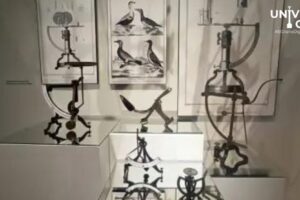 WebCDM Explora el mundo del absurdo en la Exposicion Sinsentido del MODO