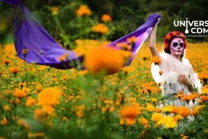 WebCDM La flor de cempasuchil Historia y significado en el Dia de Muertos