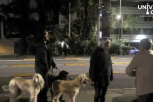 WebCDM Microsismos sacuden a la CDMX