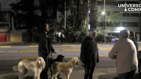 WebCDM Microsismos sacuden a la CDMX