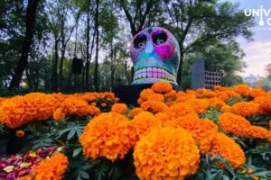 WebCDM Noche de Cuentos de Terror en Chapultepec ¡Sumergete en el misterio