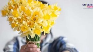 Regalos de color: La historia detrás de las flores amarillas en septiembre