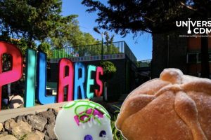 WebCDM Una actividad gratuita y deliciosa en la CDMX