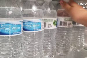 ¿Qué es más saludable, el agua embotellada o la del grifo?
