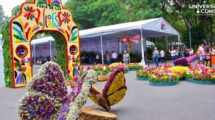 Feria de las Flores San Ángel 2024: Música, Color y Tradición en CDMX