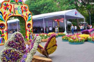 Feria de las Flores San Ángel 2024: Música, Color y Tradición en CDMX