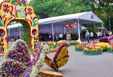 Feria de las Flores San Ángel 2024: Música, Color y Tradición en CDMX