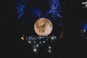 Magia nocturna en el Parque Bicentenario