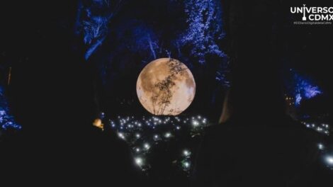 Magia nocturna en el Parque Bicentenario