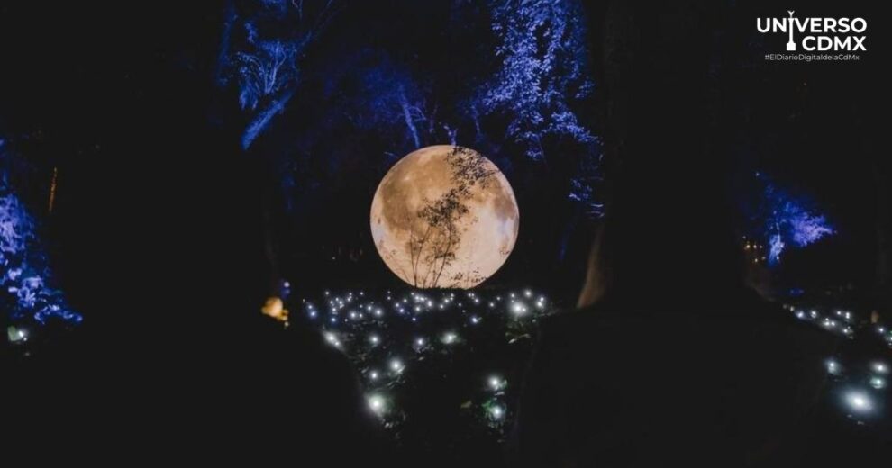 Magia nocturna en el Parque Bicentenario