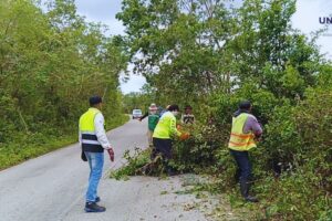 Trabaja SICT en afectaciones a tramos carreteros en seis Estados a causa de fuertes lluvias