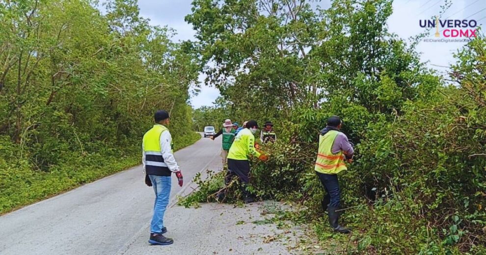 Trabaja SICT en afectaciones a tramos carreteros en seis Estados a causa de fuertes lluvias