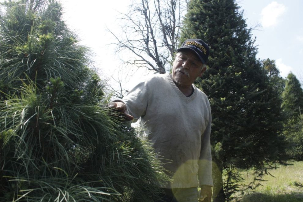 WhatsApp Image 2022 11 13 at 10.09.40