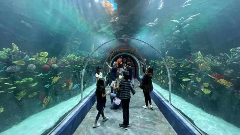 Acuario Michin: una experiencia acuática inigualable en la CDMX