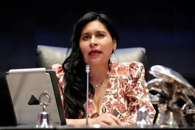 En eliminación de 13 fideicomisos, ministros no pueden ser juez y parte: Ana Lilia Rivera 1 ana jpeg