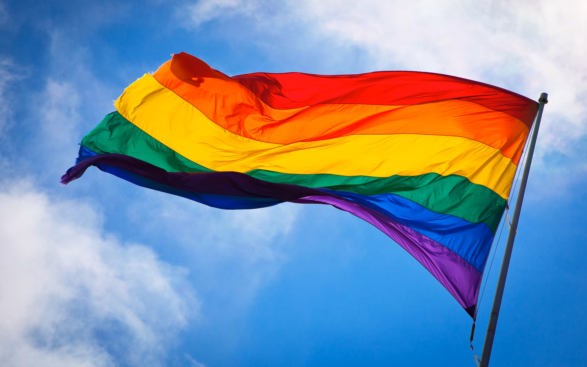 bandera lgbt+