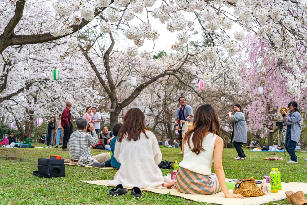 Natsumatsuri en CDMX: Un Festín de Tradición y Cultura Japonesa para Celebrar el verano 7 bazarcito japones CDMX picnic