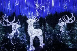 brilla fest parque nau naucalli