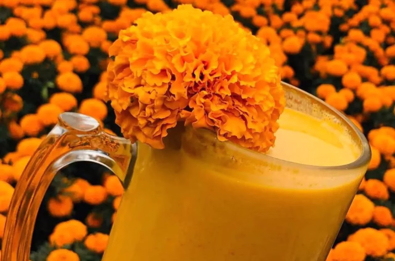 Sí, el cempasúchil también se come: descubre los lugares en CDMX donde puedes probar delicias con esta flor 4 cempasuchil