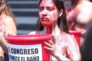 ¡La tauromaquia no es cultura, es crueldad! Activistas protestan en el Congreso 3 chivas 2