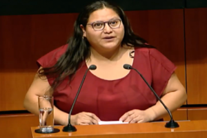 Dialogan en el Senado sobre la judicialización de la política